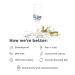 TOSSWARE POP 6oz Stemmed Flute Set of 12 - Premium Quality, Recyclable, Unbreakable & Crystal Clear Plastic Champagne Glasses - 12 Count - Buy Online on GoSupps.com