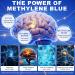 Methylene Blue Drops Methylene Blue Pharmaceutical Grade, 1% Solution Supplement for Humans Brain Health, Focus & Cognitive Support, No Formaldehyde, 60ml (2.02FL.OZ) - Buy Online on GoSupps.com
