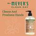 Mrs. Meyer's Clean Day Hand Soap - Geranium Scent Essential Oils Biodegradable 12.5 Fl. Oz - Eco-Friendly & International Shipping Available - Buy Online on GoSupps.com