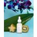 EARTH HARBOR LUNA RAIN Phyto-Resurfacing Night Serum | Skin Texture & Tone Improvement | Natural & Cruelty-Free | Superfruit Acids + Seaweed Collagen | 1 fl oz - Buy Online on GoSupps.com