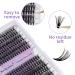 Buy Individual Eyelashes 240 PCs - C Curl Mix 12-16mm DIY Cluster Eyelash Extensions | Perfect for At-Home Use - Buy Online on GoSupps.com