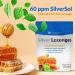 Organic Manuka Honey Silver Lozenges with Vitamin C - Immune Support & Throat Relief - 24 ct - Buy Online on GoSupps.com