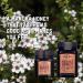 Taylor Pass Honey Co. Manuka Honey MGO83+ UMF5+ 500g | Sustainable New Zealand Honey | (Manuka UMF5+/MGO83+) - Buy Online on GoSupps.com