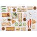 Freak Flag Organics Kale Pesto Set - USDA Certified Organic, Non-GMO, Vegan, Gluten-Free, Dairy-Free & Nut-Free - Perfect for Toppings, Pasta, Pizza, Appetizers, Dipping & Snacking - Pack of 3 - Buy Online on GoSupps.com