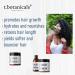 Chebe Butter and Chebe Oil Set - Argan Oil Moisturizer for Hair Growth and Thickening | Prevent Breakage, Split Ends, and Hair Loss with Chebe Powder - Citrus Scent - Buy Online on GoSupps.com