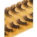 Goddenus False Cat Eye Manga Lashes - Natural Wispy Curly Mink, Fluffy CC Curl Fairy & Spikey Anime Fox Eye - 8 Pairs Pack - Buy Online on GoSupps.com