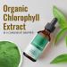 HERBAMAMA Chlorophyll Liquid Drops - Energy Booster for Digestion & Immune Support - Vegan Sodium Copper Chlorophyllin Extract - 2 fl. Oz - Buy Online on GoSupps.com