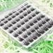 Cluster Lashes Individual Eyelashes C Curl Lash Clusters Soft and Reusable Eyelashes Individual DIY Lash Extensions 8mm 10mm 12mm 14mm by Obeyalash (Mix 8-14mix C Curl Natural-Violet) 5-WL-011 - Buy Online on GoSupps.com