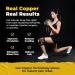 CopperJoint Patella Knee Sleeve & Brace - Compression Support for Knee Injury Tendonitis & Meniscus Tear - Copper Infused Side Stabilizers Large - Buy Online on GoSupps.com