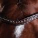 Buy Collegiate ComFiTec Sheepskin Bridle Brown Cob - Premium Comfort & Quality for Equestrian Excellence | International Shipping Available - Buy Online on GoSupps.com