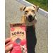 Soopa Cranberry and Sweet Potato Dental Sticks Dog Treat 100 g - Buy Online on GoSupps.com