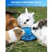 Rabbit Foraging Mat - Interactive Feed Game for Small Pets | OVMKOV 9.44 x 9.44 Snuffle Pad Bed Nosework Mat for Bunny, Hamster, Guinea Pigs, Ferrets, Chinchillas - Buy Online on GoSupps.com