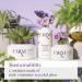 Farm Rx Bakuchiol Serum - Vegan Anti-Aging Oil for Wrinkles & Fine Lines | Retinol Alternative (30ml) Clean Beauty - Buy Online on GoSupps.com
