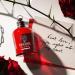 Cacharel Amor Amor Eau de Parfum for Women Floral Fruity Chypre With Notes of Bergamot Rose Cedar 3.38 Fl Oz (Pack of 1) - Buy Online on GoSupps.com