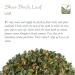 Buy Birch Leaf Silver Tea - Premium Birch Bark & Leaf Tea 100g - International Shipping Available - Buy Online on GoSupps.com