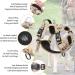 Buy Heele Dog Crockery & Large Dog Harness | Front & Back Clips Neck Release - International Shipping - Buy Online on GoSupps.com