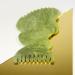 EcoTools Limited Edition Gua Sha Kit Scalp Body & Face Jade Stone Gua Shas Sculpt Depuff & Massage 3 Piece Gift Set Gua Sha Set 3CT - Buy Online on GoSupps.com