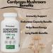 PRISTINE'S Cordyceps Mushroom (3 Pack) 1000 MG - Athletic Performance Endurance & Immunity Adaptogen Capsule Supplement - 180 Day Supply - Anti Aging Support Antioxidant - Buy Online on GoSupps.com