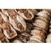 Jordan Original Vegan Salami | Smoked Peppers | 180g | 100% Vegan | Healthy Meat Taste Without Soy | Premium International Shipping - Buy Online on GoSupps.com