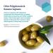 Shop Life Extension Omega Foundations Super Omega-3 - 120 Enteric Coated Softgels for Heart & Brain Health - Buy Online on GoSupps.com