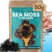 VIRHEA Sea Moss 50g Enti re Mousse de Mer Irlandaise Algue S ch e Naturelle