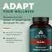 Organic Reishi Mushroom Tablets - Immune Support, Gluten-Free, Vegan-Friendly - 30 Count - Buy Online on GoSupps.com