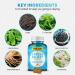 6-in-1 Stress Relief Gummies 60ct with Ashwagandha, GABA, and L-theanine for Relaxation and Improved Sleep - Immunity and Wellness Support - Buy Online on GoSupps.com