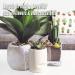 Scented Candle for Relaxation & Mood Enhancement | Stress Relief & Romantic Atmosphere - Jeans Fragrances - Buy Online on GoSupps.com