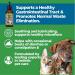 ANIV Animal Essentials Milk Thistle Supplement 1 oz (2 Pack) for Dogs and Cats - Buy Online on GoSupps.com