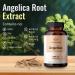 HERBAMAMA Angelica Capsules - Digestive Health, Heart & Blood Circulation Support - for Women with Dong Quai Root - Gluten Free, Vegan, Non-GMO - 1000mg 100 Caps - Buy Online on GoSupps.com