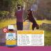 Revive Active - Omega 3 Liquids for Dogs and Cats 473ml Skin and Coat Supplement - Promotes Cognative Health Maintain Well Being -Supports Renal and Cardiovascular Funtions. - Buy Online on GoSupps.com