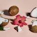 SheaMoisture Illuminating Coconut and Hibiscus Body Scrub 12 oz - Cruelty-Free Skin Care - Buy Online on GoSupps.com
