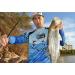 Kingforest 10pcs Spinnerbait Fishing Lures Kit for Bass Trout Salmon Walleye with Tackle Box - Buy Online on GoSupps.com