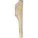 Big Sky Antler Chew Split - Large 1ct | Natural Large Antler Chew - Buy Online on GoSupps.com