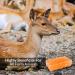 Himalayan Nature 100% Natural Rock Deer Salt Block 2-5 lbs - Animal Licking Mineral Salt Block - Buy Online on GoSupps.com