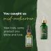 Tree of Life Age Defying Facial Skincare Regimen | Morning Revival Serum, Evening Youth Serum, Polypeptide Cream, Eyebright Eye Gel - 4 Piece Set - Buy Online on GoSupps.com