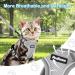 Petbonus Adjustable Cat Dishes & Harness Set - Soft Breathable Cat Bowls with Reflex Stripes for Kittens (XS Gray) - International Shipping - Buy Online on GoSupps.com