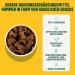 Ivvi Probiotic Dog Treats - 60 Chicken Snacks for Improved Digestion & Immune Support - Enhance Dog's Intestinal Flora (270g) - Buy Online on GoSupps.com