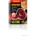 Exo Terra Infrared Basking Spot Lamp 150W R30 E27 Heat Spot for Reptiles | International Shipping Available - Buy Online on GoSupps.com