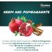 Himalaya Ayurvedic Dental Cream - Neem & Pomegranate Toothpaste | Gum Protection Cavity Prevention & Natural Fluoride | 100g (3 Pack) - Buy Online on GoSupps.com