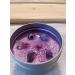 Awakening Aromatherapy Soy Wax Candle - Old Library Scented - Nag Champa Tonka & Oud - International Shipping - Buy Online on GoSupps.com