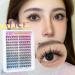 ALICE Natural Lash Clusters DIY Eyelash Extensions 9-11mm Short C Curl Individual Lashes Wispy Anime Lash Extensions Handmade Manga Eyelash Clusters 144 Pcs U22 - Buy Online on GoSupps.com