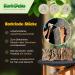 Cork Bark (Rodent Reptile Decoration Modelling Model Railway Scenery) cork wood tree oak (3 pcs.) - Buy Online on GoSupps.com