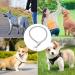3mm X 55cm Choke Chain Metal Dog Chain Pet Training Choker Non-Slip Collar for Walk The Dog or Puppy Training Walking With Tag Nameplate - Buy Online on GoSupps.com