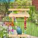 TeTupGa Bird Perches, Toys & Play Gyms - Wooden Platform with Swing & Ferris Wheel for Parrots, Lovebirds, Chinchillas, Hamsters | Green Cheeks & Budgie Bird Accessories - Buy Online on GoSupps.com