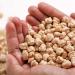 Buy TRS Pack of 3 Premium Dried Chickpeas - 2 kg Bulk Uncooked Chick Peas for International Shipping - Buy Online on GoSupps.com