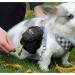 FuninCrea Dog Treat Pouch Bag with Poop Bag Dispenser - Oxford Cloth Training Bag for Walking & Travel (Black) - Buy Online on GoSupps.com