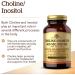 Solgar CholineInositol 100 Veg Caps - Supports Brain & Liver Health - Buy Online on GoSupps.com