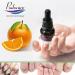 Podocure Anti-fungal Solution | With Undecylenic Acid 25% | 30ml | Finger and Toe Fungus Treatment Nail and Athlete Repair Solution Treats Onychomycosis Treats Fungal Infections | 100% Natural | Podiatric Laboratory in CANADA | (PACK OF 1) - Buy Online on GoSupps.com