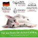 Belisy Ticks Bach Flowers for Dogs & Cats - Alcohol-Free Special Flower Mixture with Grapefruit Extract - 10g - Buy Online on GoSupps.com